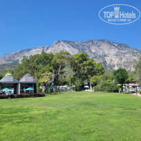 фото из отзыва ID 2685232