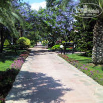 фото из отзыва ID 2685305