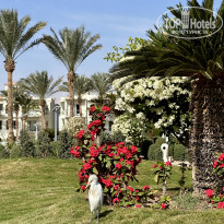 фото из отзыва ID 2685458