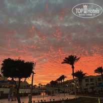 фото из отзыва ID 2685458