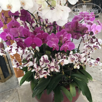 фото из отзыва ID 2685743
