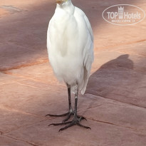 фото из отзыва ID 2684870