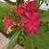 фото из отзыва ID 2686009