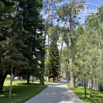 фото из отзыва ID 2686090