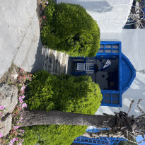 фото из отзыва ID 2686090