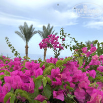 фото из отзыва ID 2686146