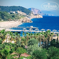 фото из отзыва ID 2686194