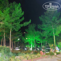 фото из отзыва ID 2686194