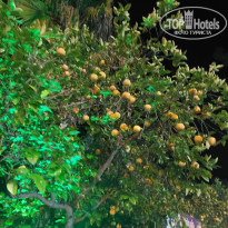 фото из отзыва ID 2686194