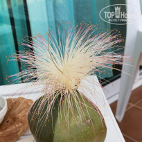 фото из отзыва ID 2686347