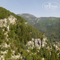 фото из отзыва ID 2686579