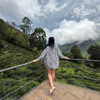 фото из отзыва ID 2686733