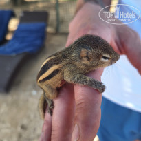 фото из отзыва ID 2686733