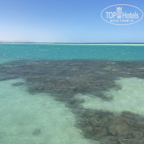 фото из отзыва ID 2686819