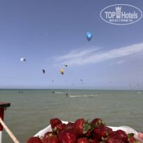 фото из отзыва ID 2686819