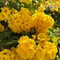 фото из отзыва ID 2686875