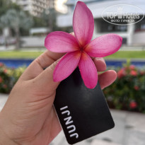 фото из отзыва ID 2686909