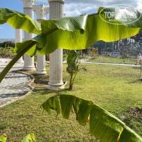 фото из отзыва ID 2687046