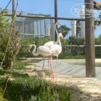 фото из отзыва ID 2687046