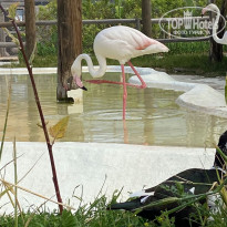 фото из отзыва ID 2687046