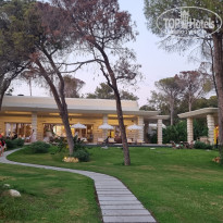 фото из отзыва ID 2687095