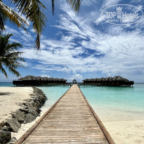 фото из отзыва ID 2687169