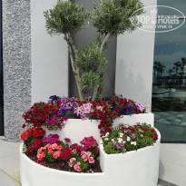 фото из отзыва ID 2687364