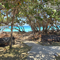 фото из отзыва ID 2687545