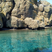 фото из отзыва ID 2688215