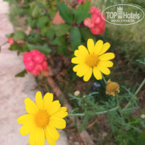 фото из отзыва ID 2688375