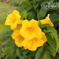фото из отзыва ID 2688375