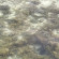 фото из отзыва ID 2688865