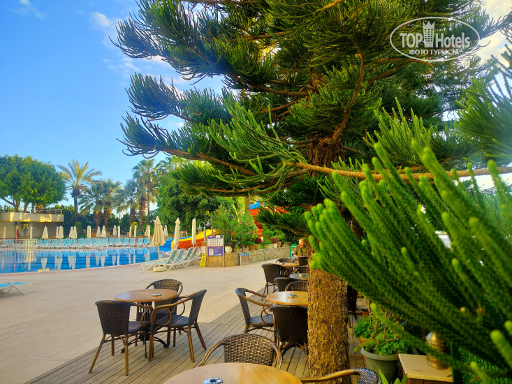 New photos from tourists Prestige Alanya 5*