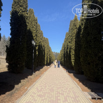 фото из отзыва ID 2689028