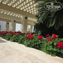фото из отзыва ID 2689088