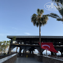 фото из отзыва ID 2689094