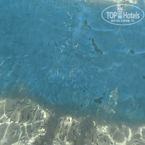 фото из отзыва ID 2689375