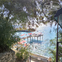 фото из отзыва ID 2689375