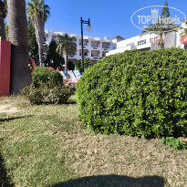 фото из отзыва ID 2689375