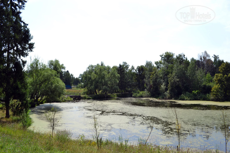 Подснежник