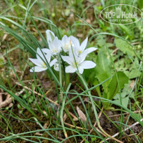 фото из отзыва ID 2683392