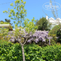 фото из отзыва ID 2683835