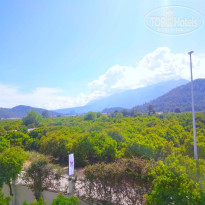 фото из отзыва ID 2690006