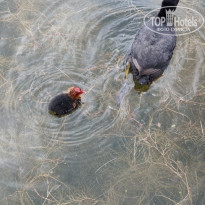 фото из отзыва ID 2690524