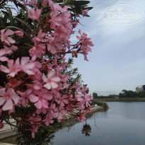 фото из отзыва ID 2690524