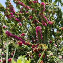 фото из отзыва ID 2690726