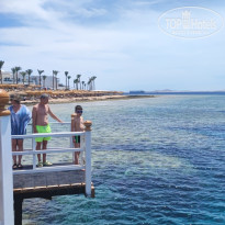 фото из отзыва ID 2690813