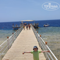 фото из отзыва ID 2690813