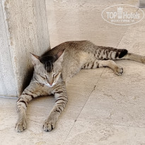 фото из отзыва ID 2690977