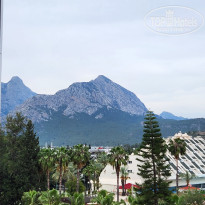 фото из отзыва ID 2691470